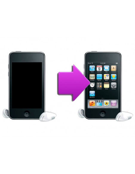 -changlcdipodtouch2g3g-Changement LCD iPod Touch V2/V3