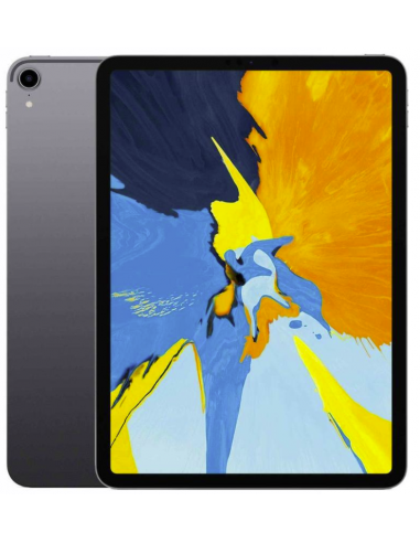 iPad Pro 11 (2018) 1e génération 256...