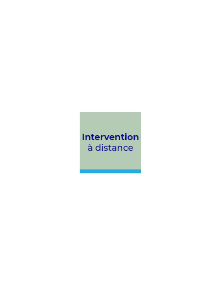 Télémaintenance Informatique