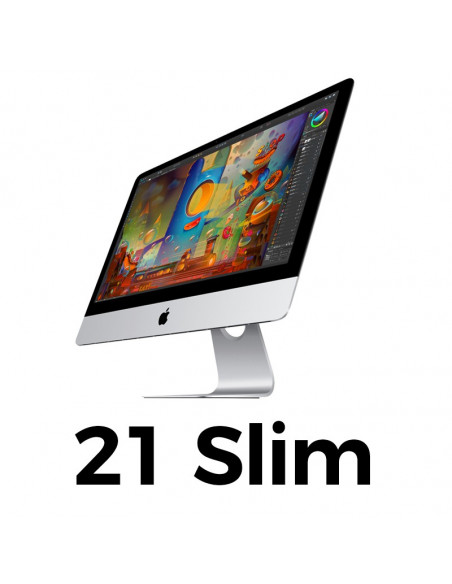 iMac 21 Slim (2012+)